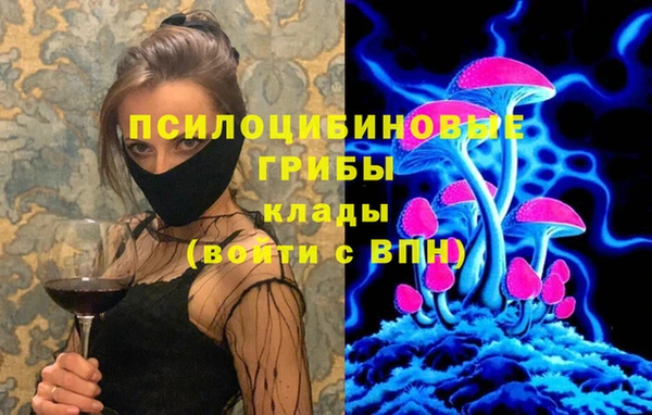 спайс Абинск