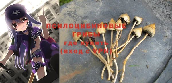 прущая мука Абдулино