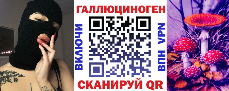 как найти закладки Шебекино Псилоцибиновые грибы MAGIC MUSHROOMS