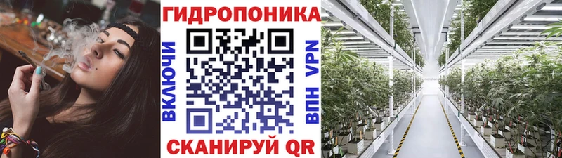 блэк спрут вход  Шебекино  Конопля THC 21% 